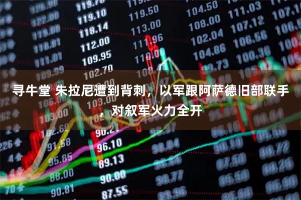 寻牛堂 朱拉尼遭到背刺，以军跟阿萨德旧部联手，对叙军火力全开