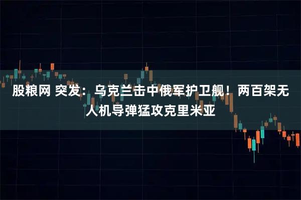 股粮网 突发：乌克兰击中俄军护卫舰！两百架无人机导弹猛攻克里米亚
