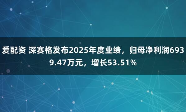 爱配资 深赛格发布2025年度业绩，归母净利润6939.47万元，增长53.51%