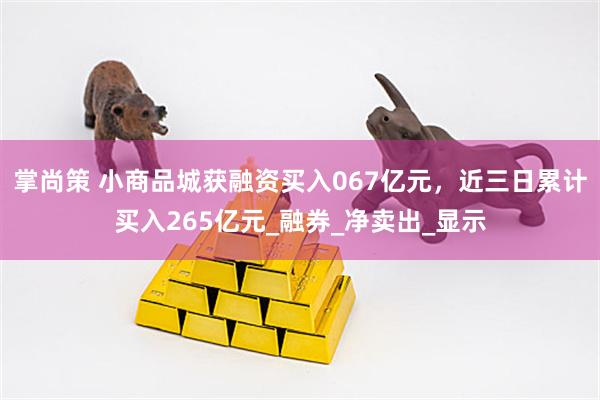 掌尚策 小商品城获融资买入067亿元，近三日累计买入265亿元_融券_净卖出_显示