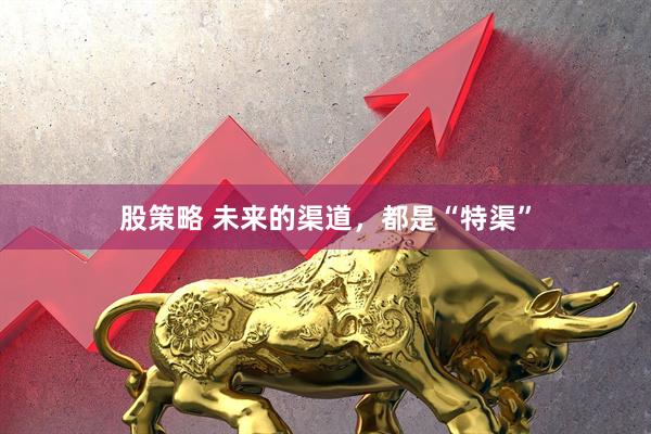 股策略 未来的渠道，都是“特渠”