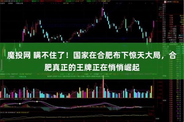 魔投网 瞒不住了！国家在合肥布下惊天大局，合肥真正的王牌正在悄悄崛起