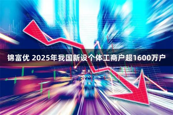 锦富优 2025年我国新设个体工商户超1600万户