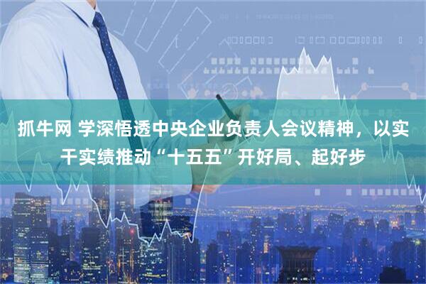 抓牛网 学深悟透中央企业负责人会议精神，以实干实绩推动“十五五”开好局、起好步