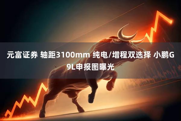 元富证券 轴距3100mm 纯电/增程双选择 小鹏G9L申报图曝光