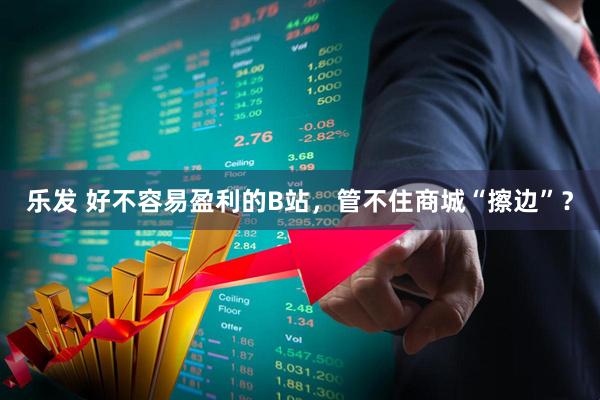 乐发 好不容易盈利的B站，管不住商城“擦边”？