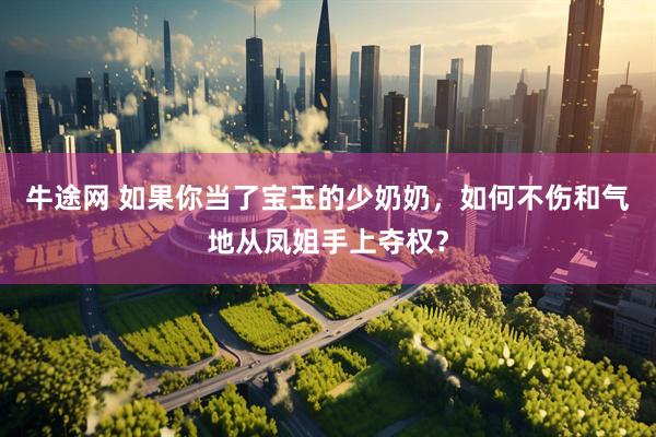 牛途网 如果你当了宝玉的少奶奶，如何不伤和气地从凤姐手上夺权？
